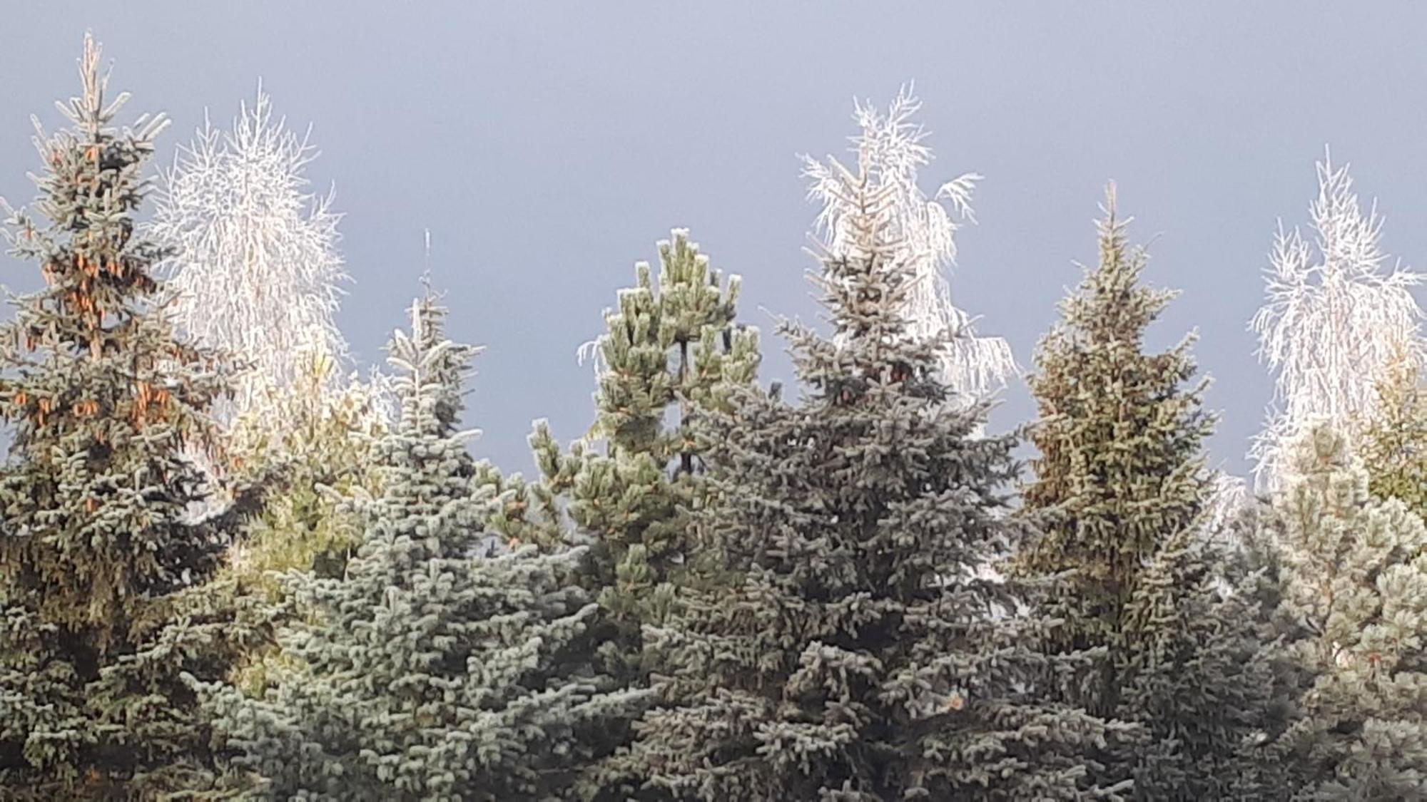 Pokoje Apartamenty Pod Limba Zakopane Exterior foto